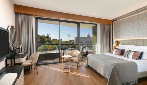 Standard Land View Room