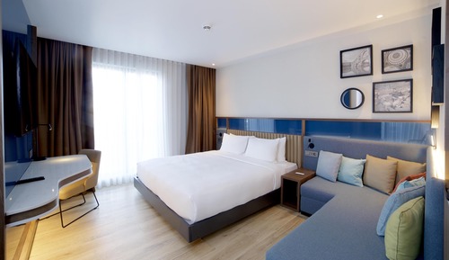 Room, 1 King Bed with Sofa bed