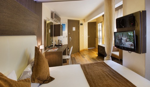 Luxury Room
