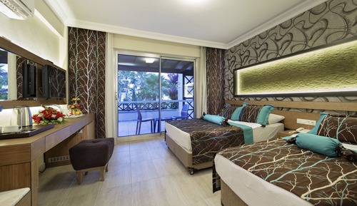 Standard Land View Room