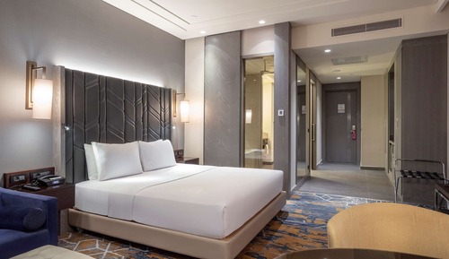 Room, 1 King Bed