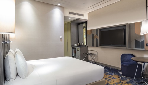 Room, 1 King Bed