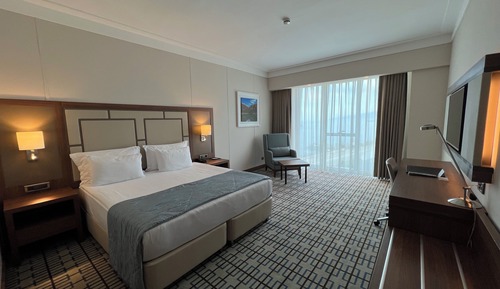 Room, 1 King Bed with Sofa bed, City View