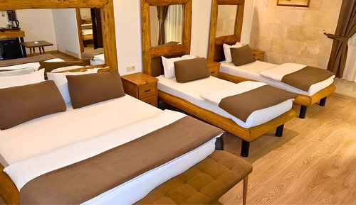 Deluxe Triple Room