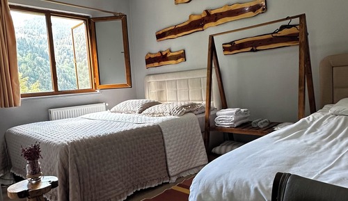 Economy Triple Room