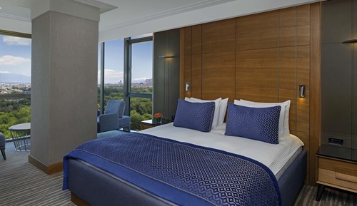 Premium Room, 1 Double Bed