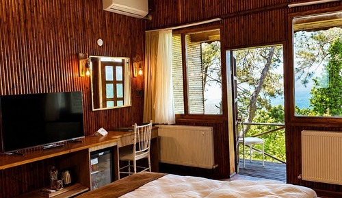 Standard Double Room Single Use