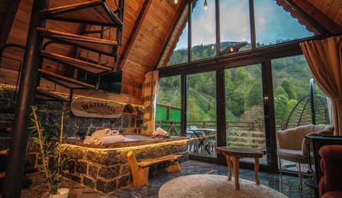 Standard Bungalow, Mountain View