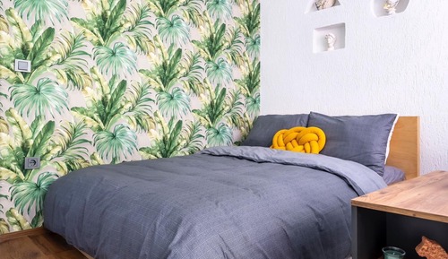 Standard Studio Suite