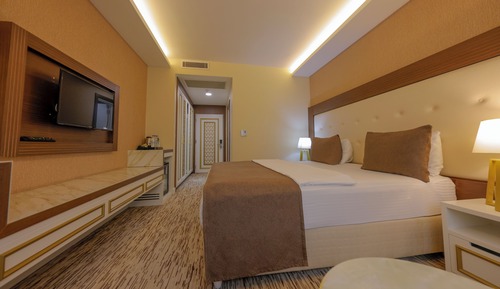 Standard Double Room Single Use, 1 Double Bed