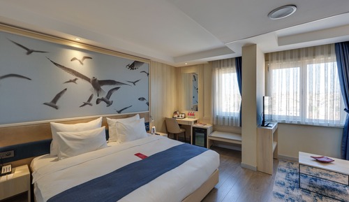 Executive Room, 1 King Bed (Sofabed)