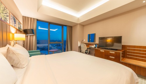 Room, 1 King Bed