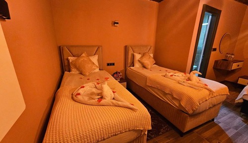 Family Quadruple Room, Mountain View
