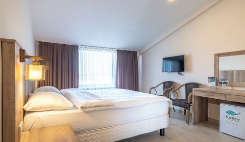 Standard Room, Mountain View