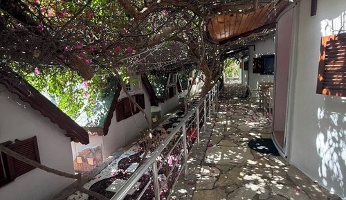 Standard Bungalow, Garden View