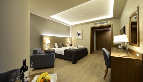 Premium Room, 1 King Bed, Smoking, City View