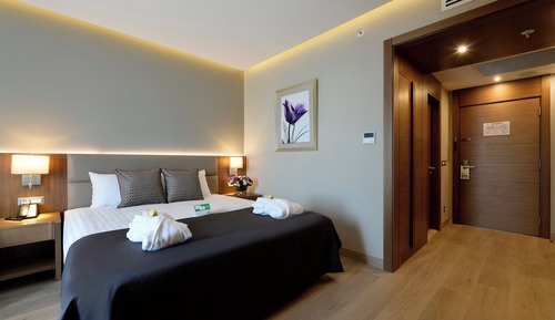 Standard Room, 1 Queen Bed with Sofa bed