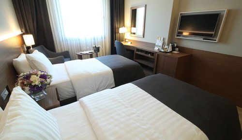 Standard Room, 2 Twin Beds, Mountain View
