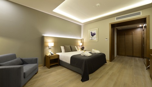 Standard Room, 1 Queen Bed with Sofa bed