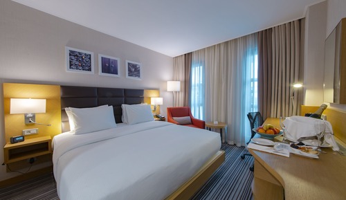 Room, 1 King Bed