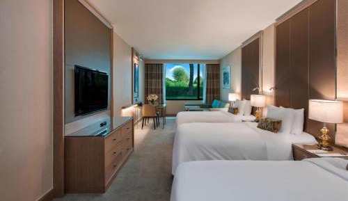 Garden Deluxe Twin room