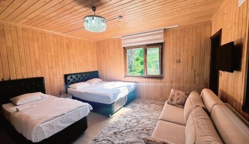 Triple Room with Mountain View