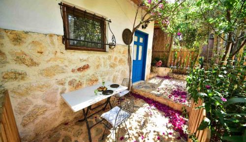 Double Room with Patio