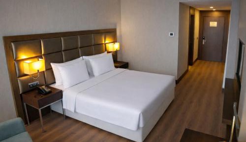 Deluxe One-Bedroom Apartment