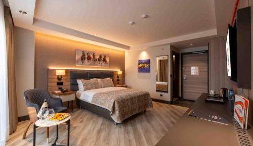 Superior Double or Twin Room