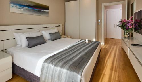 Deluxe One-Bedroom Apartment