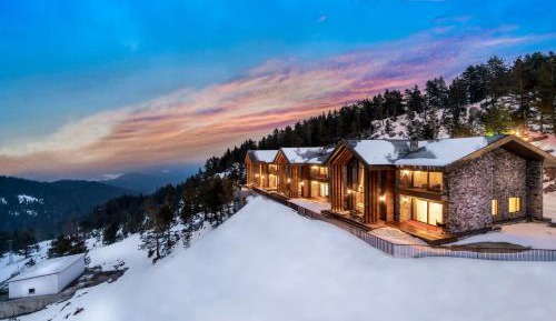Deluxe Villa
