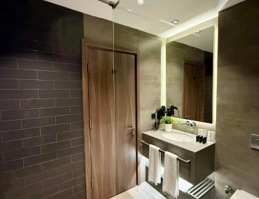 One-Bedroom Apartment with City View