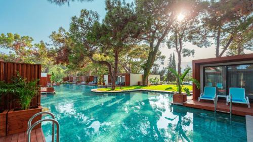 Suite with Private Pool