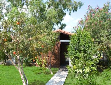 One-Bedroom Bungalow