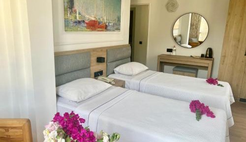 Standard Double or Twin Room
