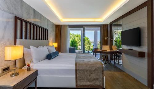 Superior Suite - Annex