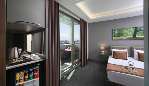 Executive Double or Twin Room