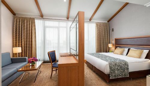 Executive Double Room with Balcony