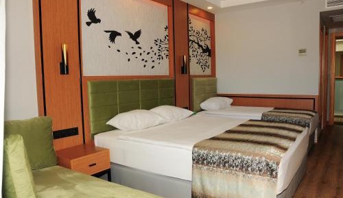 Standard Large Room