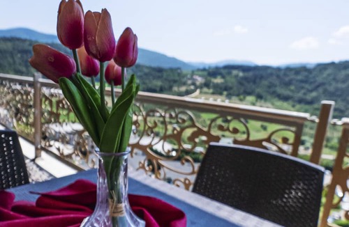Mudurnu Hotel | Sarot Thermal Palace Tatil Koyu - Halal Hotel
