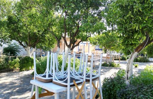 Bodrum City Center Hotel | Bodrum Blu Hotel
