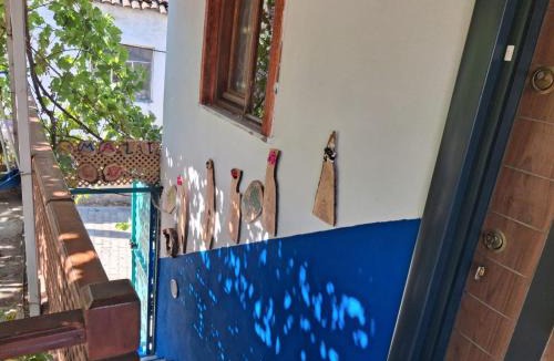 Geyikli House | Geyıklı Asma Hause
