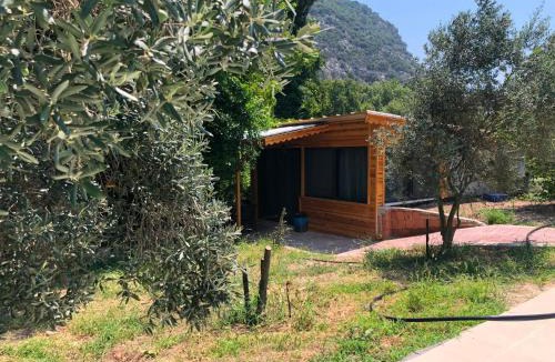 Ulupinar Hotel | Selale Cennet Evleri
