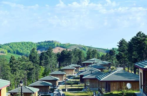 Unye House | May Villas Cet Mountain 1-1 Bungalow with Fireplace 108