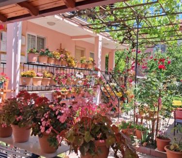 Koycegiz Apartment | Günışığı Pansiyon & Apart
