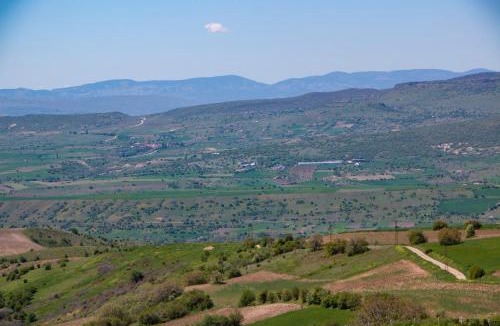 Cubuk Resort | Loft Orman Tatil Köyü