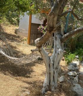 Marmara House | Kalemi Pansiyon