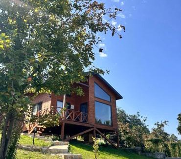 Mersin Ski Chalet | Ordu Casa di Arte Bungalov
