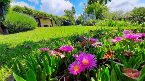 Eceabat Apartment | The Gallipoli Houses