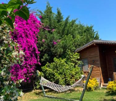Demre Bed & Breakfast | EM-BA BUTİK BUNGALOV
